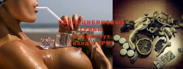 гашик Осинники